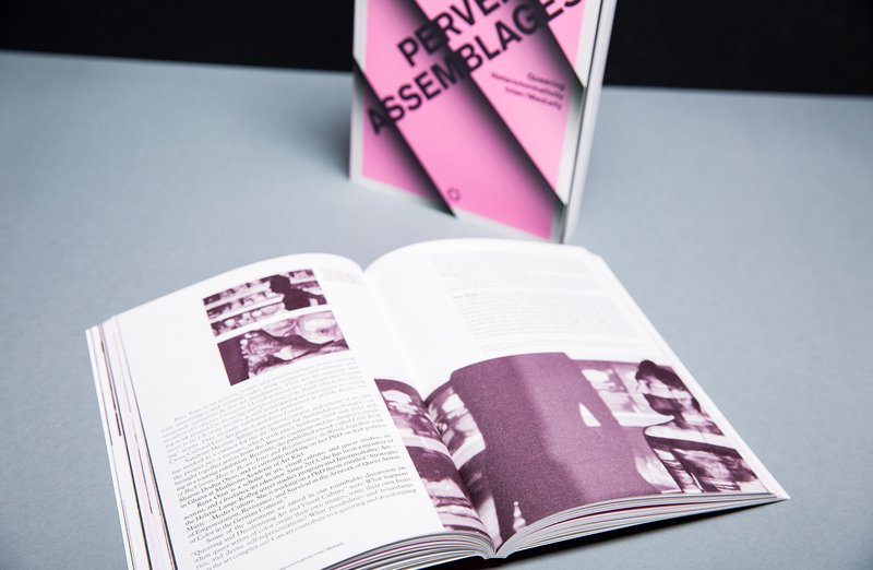 Buch Perverse Assemblages