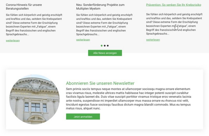 BKG Websiteausschnitt Newsletter