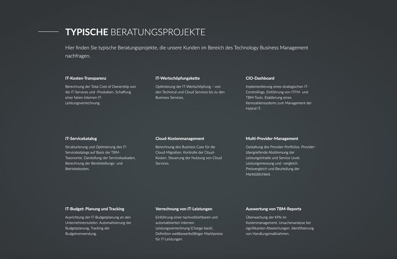 Fochler Website Beratungsprojekte