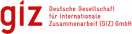 GIZ Logo