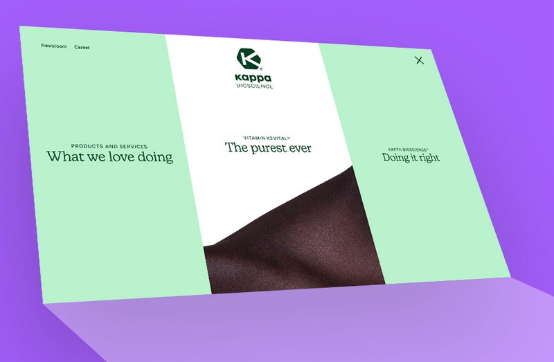 Kappa Bioscience Website Menü Ansicht